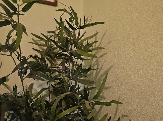 Amplia Y Centrica En Piso Compartido * 拉科鲁尼亚